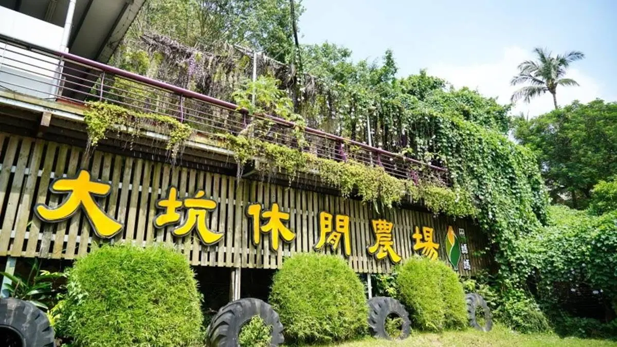 來玩整天!台南休閒農場能餵小動物、嗑Q彈烤土雞+百變竹筍餐,還可住歐風別墅 來玩整天!台南休閒農場能餵小動物、嗑Q彈烤土雞+百變竹筍餐,還可住歐風別墅