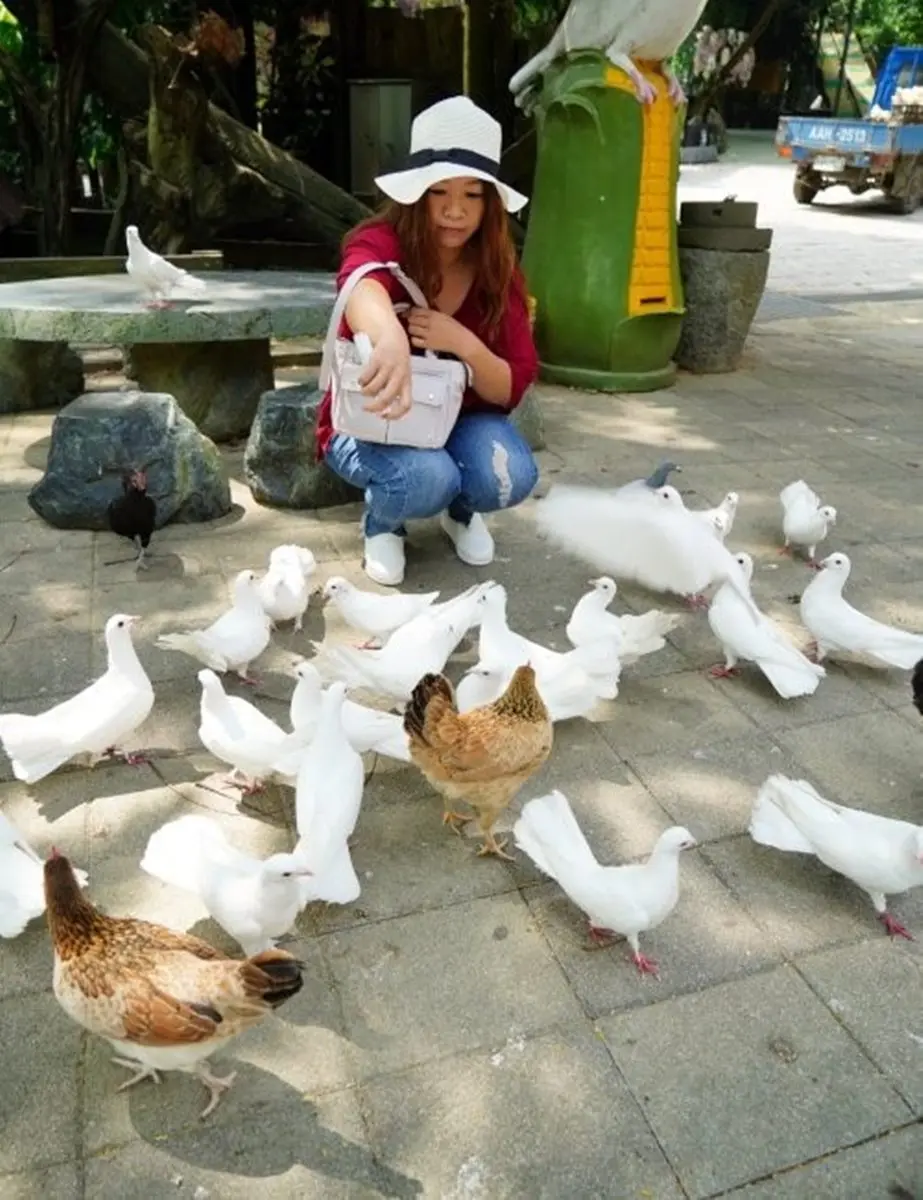 來玩整天!台南休閒農場能餵小動物、嗑Q彈烤土雞+百變竹筍餐,還可住歐風別墅 來玩整天!台南休閒農場能餵小動物、嗑Q彈烤土雞+百變竹筍餐,還可住歐風別墅