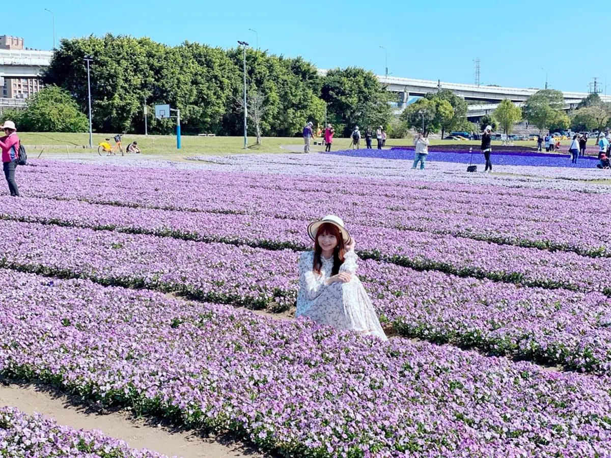 台北市區1秒偽出國!河濱公園賞13萬株「漸層紫花海」,還能打卡希臘風婚紗美拍地 台北市區1秒偽出國!河濱公園賞13萬株「漸層紫花海」,還能打卡希臘風婚紗美拍地