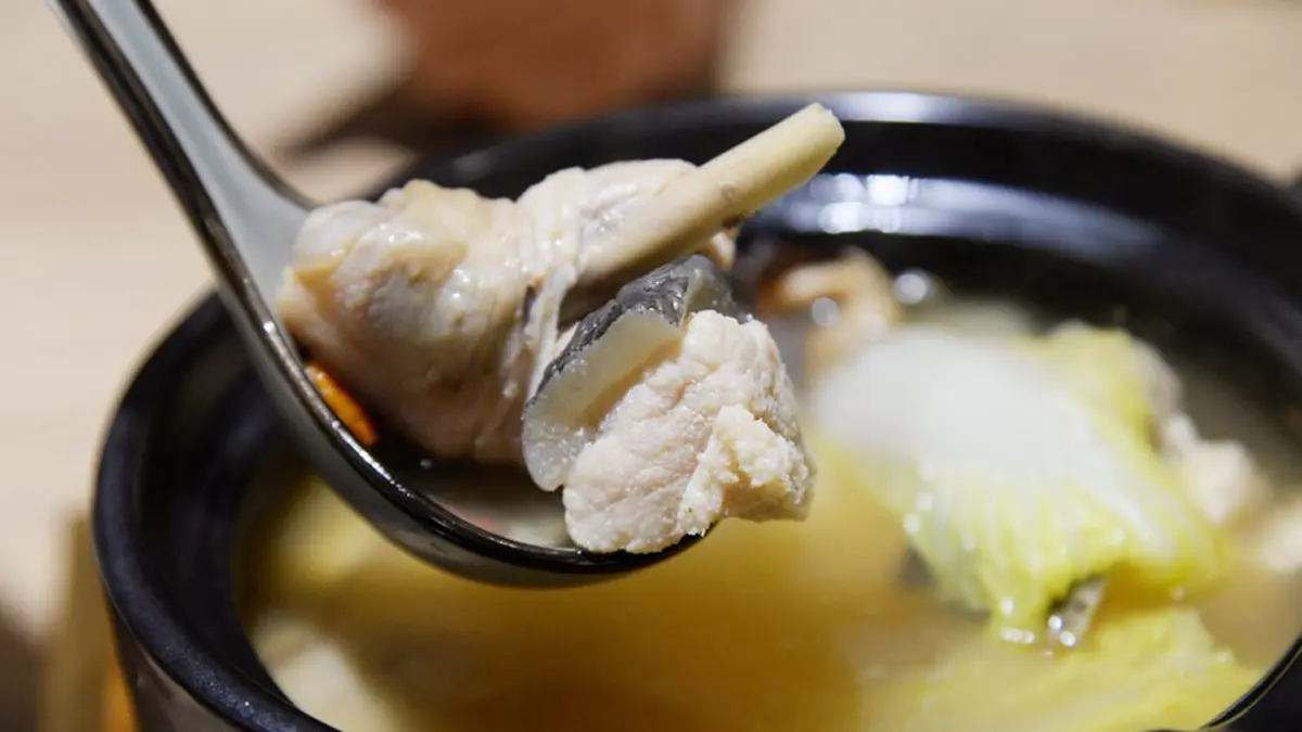 一個人也能來！高雄居酒屋吃得到超養生「鱷魚鍋」，獨門火燒雞５小時前先預訂