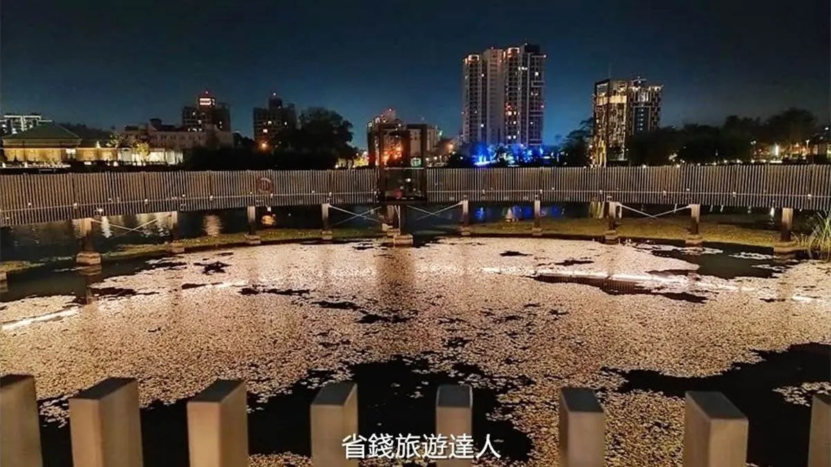 免費玩!台中火車站周邊「走路就能到」4景點:全台唯一鐵道空中花園、湖濱生態園區 免費玩!台中火車站周邊「走路就能到」4景點:全台唯一鐵道空中花園、湖濱生態園區