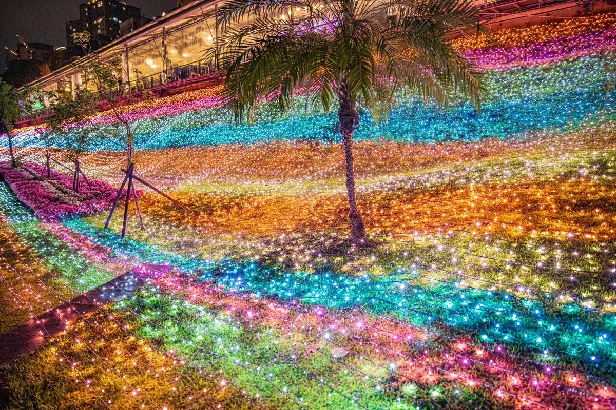 首推360度環景水幕秀！「2021碧潭水舞秀」57天免費看，還有星光草皮IG快拍