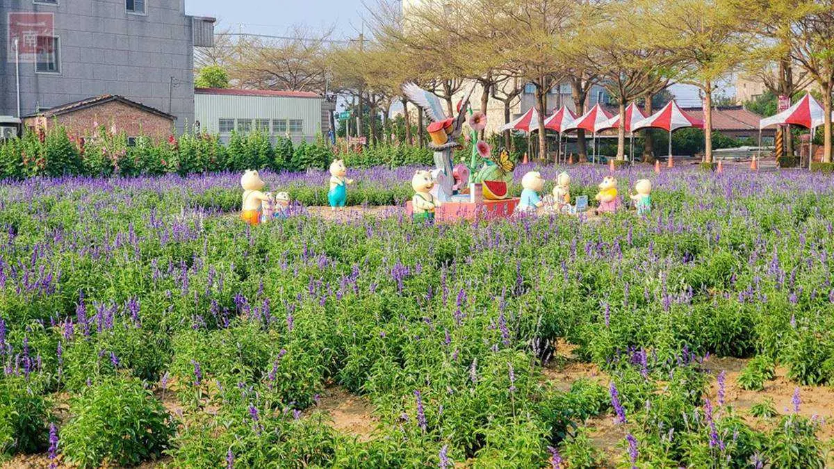台南3花海一次get!蜀葵、鼠尾草、金黃麥田超美拍,順路吃造型雞蛋糕、10元肉燥飯 台南3花海一次get!蜀葵、鼠尾草、金黃麥田超美拍,順路吃造型雞蛋糕、10元肉燥飯