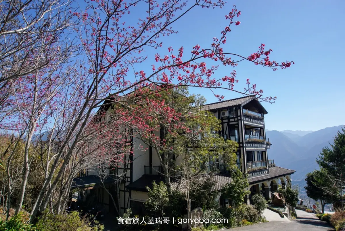 擁抱無敵山景！清境歐風莊園旅店「無邊際泳池」超美拍，還能一邊泡澡一邊看星星