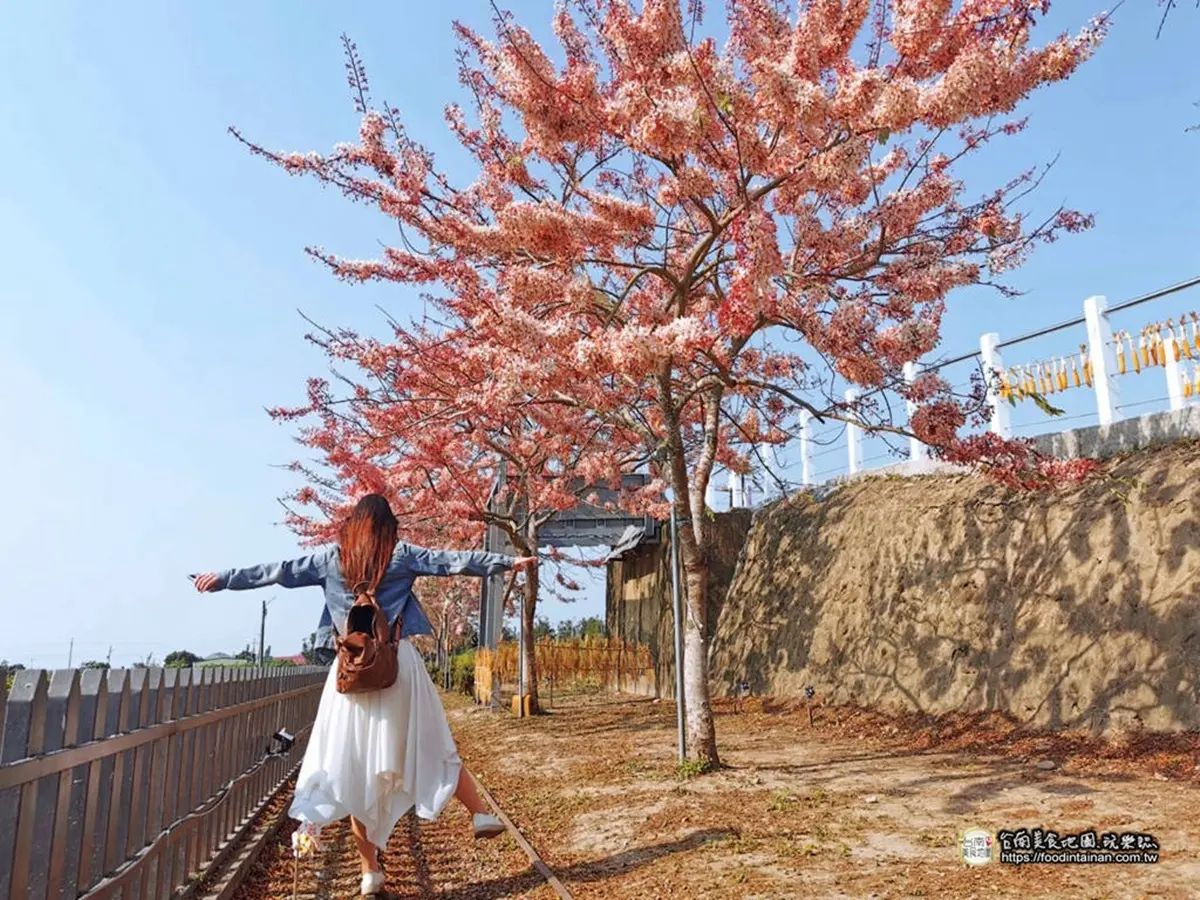 IG瘋打卡！北中南10大仙氣花海：彩色海芋田、萬坪紫藤園、繡球步道