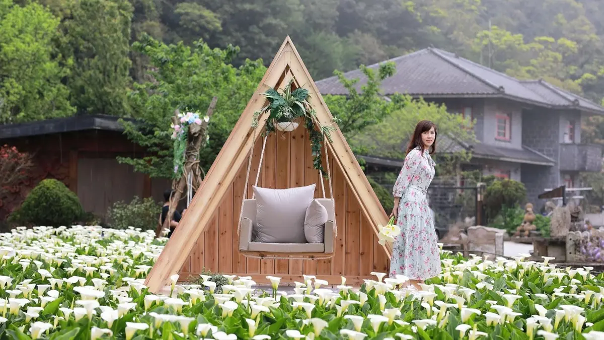 IG瘋打卡！北中南10大仙氣花海：彩色海芋田、萬坪紫藤園、繡球步道