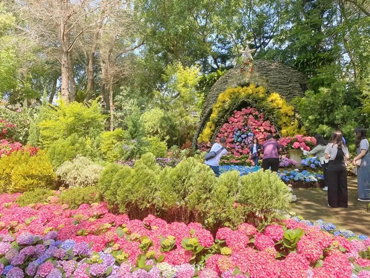 IG瘋打卡！北中南10大仙氣花海：彩色海芋田、萬坪紫藤園、繡球步道