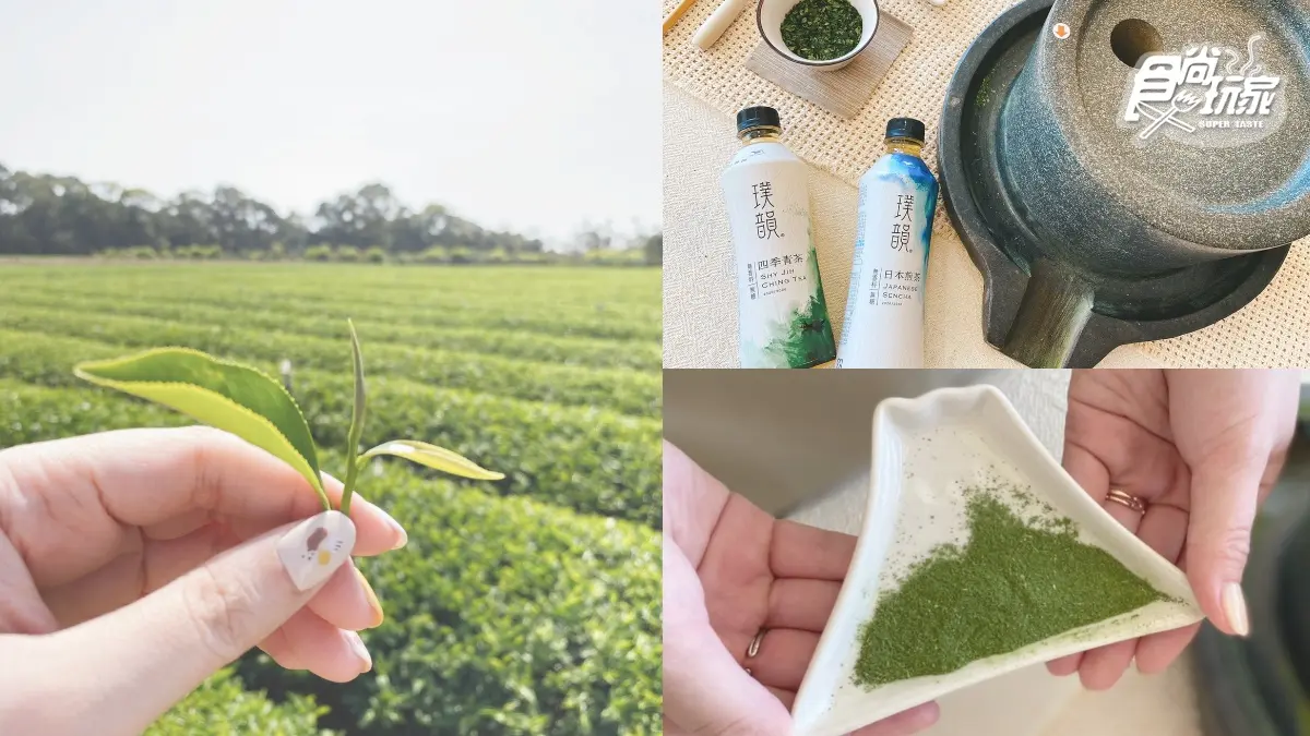 茶飲控請進！食尚小編直擊IG暴紅「文青茶」產地，日本煎茶、台灣青茶口感大比拚