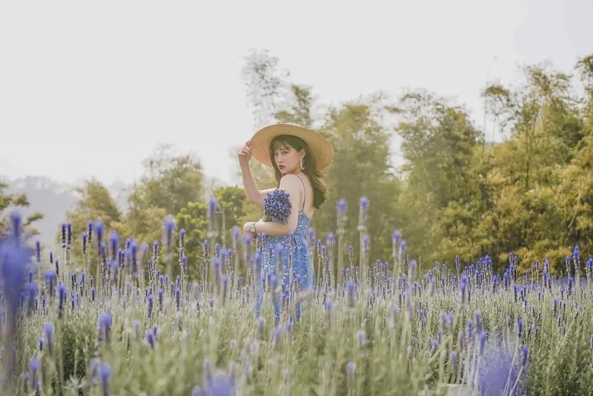 IG瘋打卡！北中南10大仙氣花海：彩色海芋田、萬坪紫藤園、繡球步道
