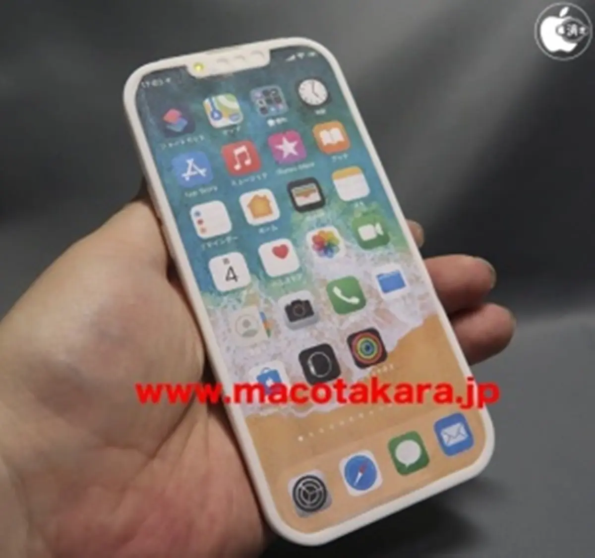 iPhone 13「手機瀏海」變小了！還有戴口罩救星「Touch ID」強勢回歸