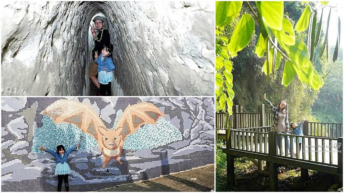 帶小孩來探險!打卡台中超神祕「蝙蝠洞」,順遊大吊橋還可踏青走步道
