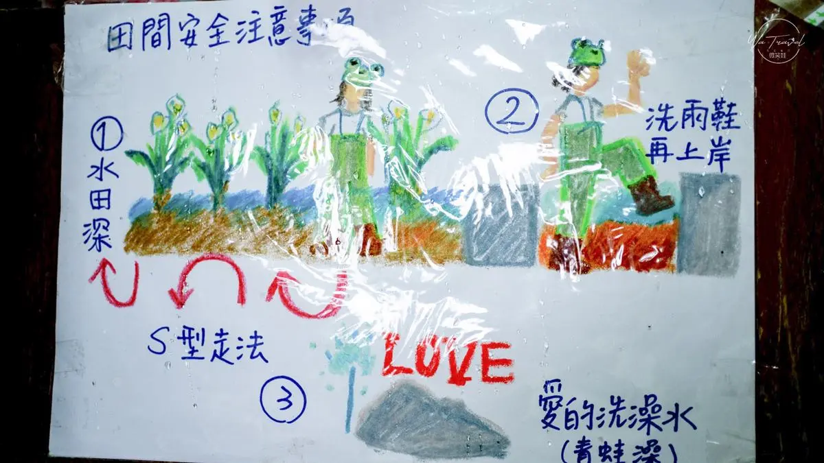 美拍陽明山海芋花海!純白色系超夢幻,「粉紅木門」IG必打卡 美拍陽明山海芋花海!純白色系超夢幻,「粉紅木門」IG必打卡