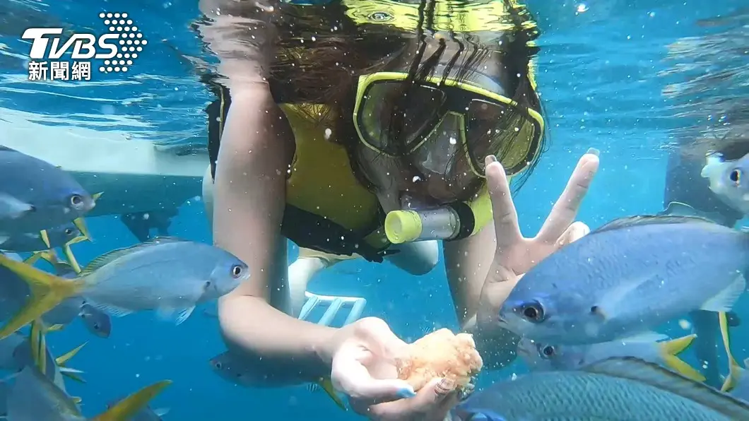 與水母、七彩魚共舞！帛琉３天２夜必朝聖６大景點：牛奶湖、水母湖、干貝城