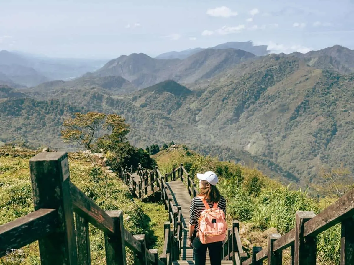 阿里山超Chill祕境！１公里親山步道可賞雲瀑、走竹林，還能拍最美茶園