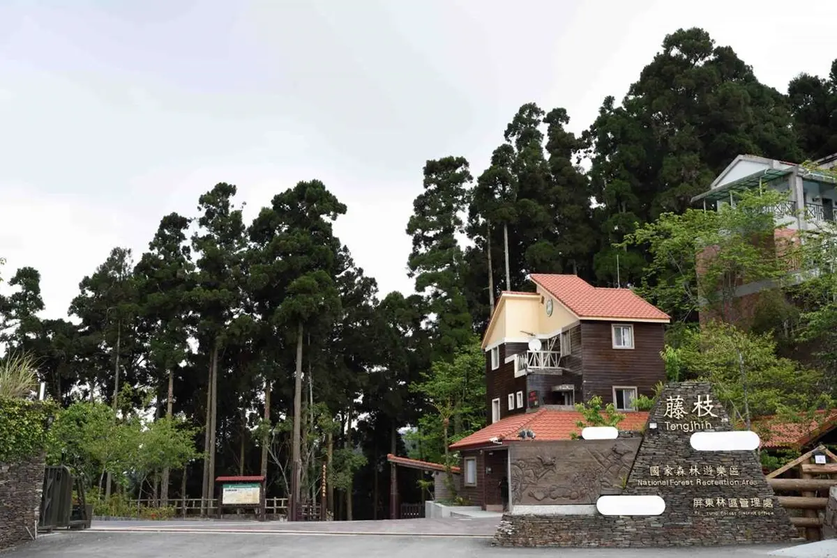 森林版「聽海哭的聲音」!南部「小溪頭」每天只開放500人,一次拍到玉山、卑南主山 森林版「聽海哭的聲音」!南部「小溪頭」每天只開放500人,一次拍到玉山、卑南主山