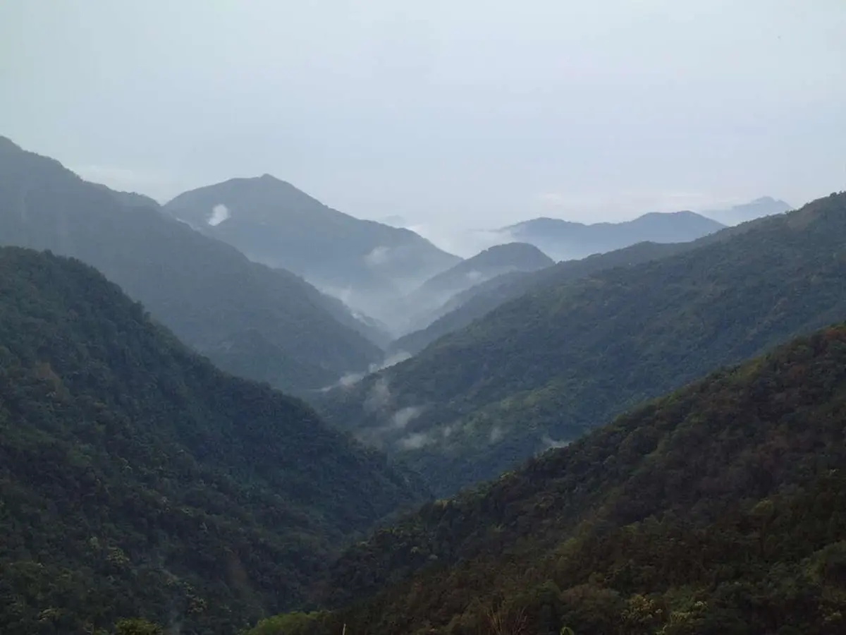 森林版「聽海哭的聲音」！南部「小溪頭」每天只開放500人，一次拍到玉山、卑南主山