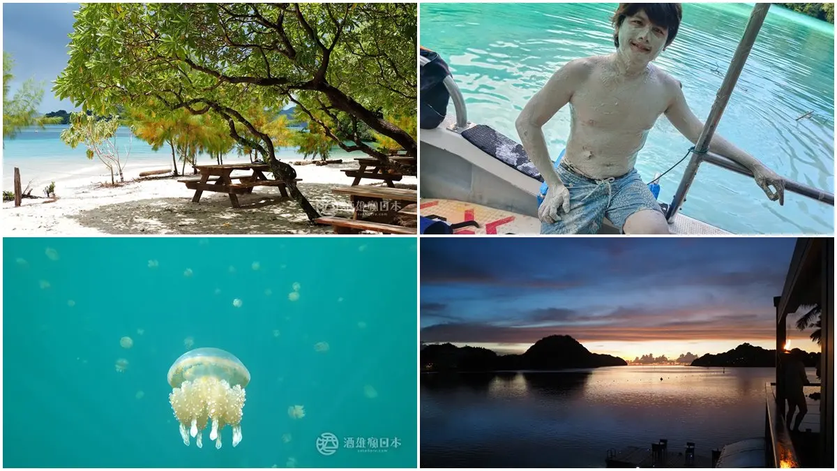 帛琉泡泡行程開箱！部落客４天３夜全紀錄（下）：牛奶湖SPA、與水母共游、無人島午餐