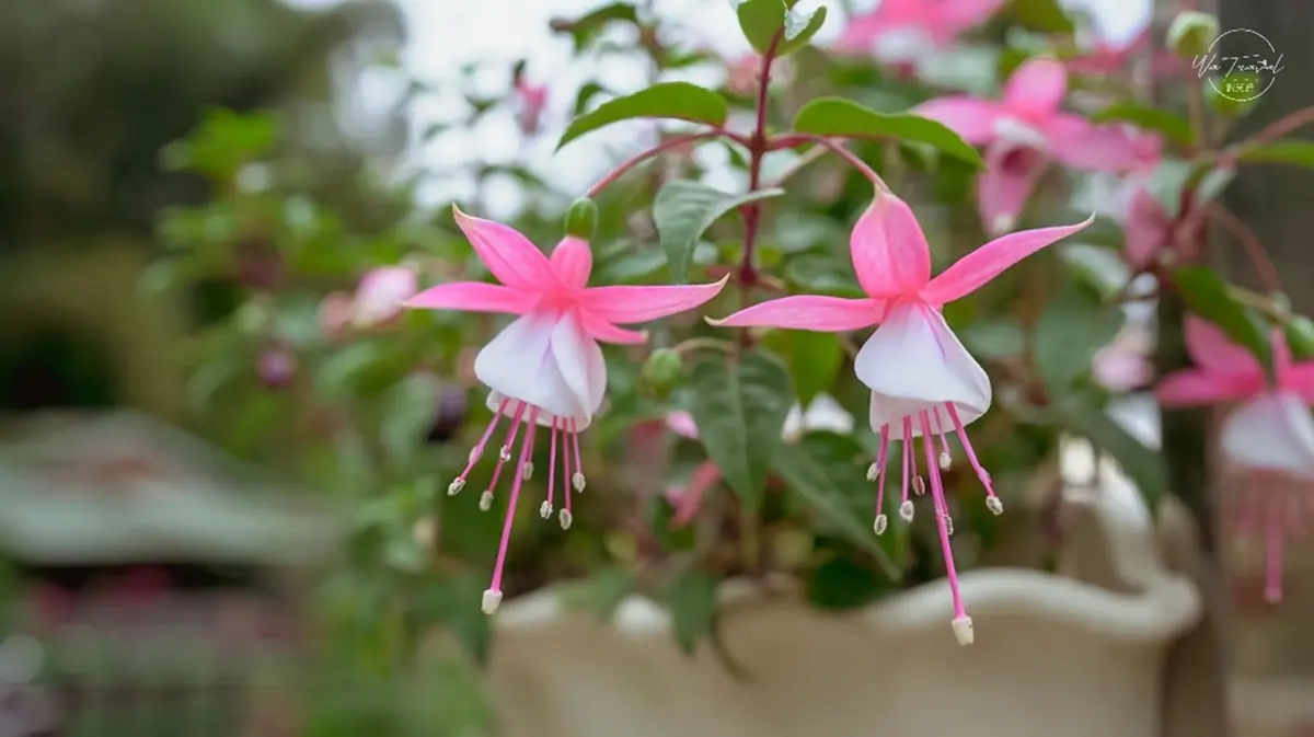 免費賞花點+1！小木屋前美拍「蝶舞花海」好夢幻，小綠龍造型植栽也可愛