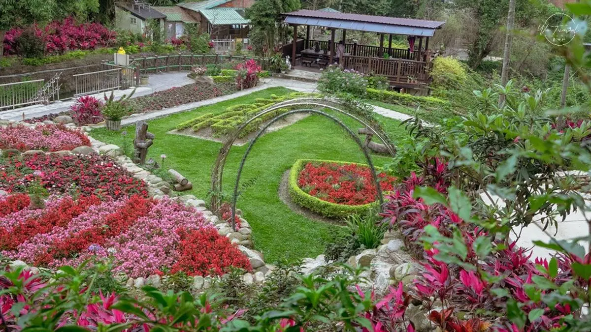 免費賞花點+1！小木屋前美拍「蝶舞花海」好夢幻，小綠龍造型植栽也可愛
