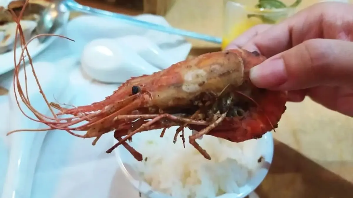 中捷美食全攻略！「水安宮站→豐樂公園站」16家：活龍蝦粥、滿料麵線、鰻魚桶飯