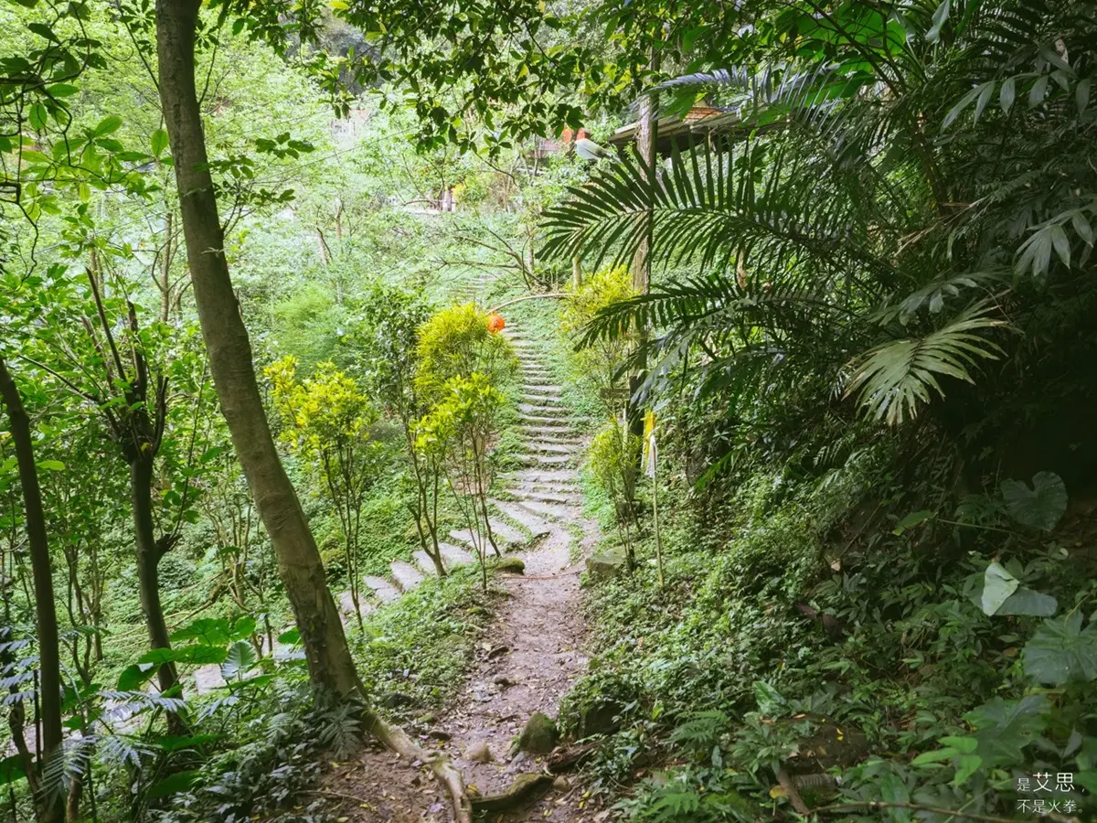 週末親山小健行！打卡IG超夯「大彩壁」，還能解鎖一座小百岳