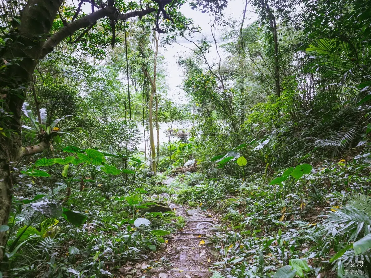週末親山小健行！打卡IG超夯「大彩壁」，還能解鎖一座小百岳