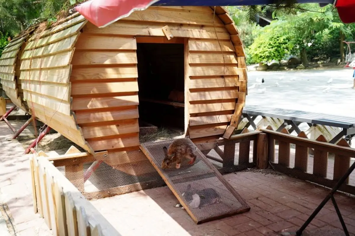 來玩整天!台南休閒農場能餵小動物、嗑Q彈烤土雞+百變竹筍餐,還可住歐風別墅 來玩整天!台南休閒農場能餵小動物、嗑Q彈烤土雞+百變竹筍餐,還可住歐風別墅