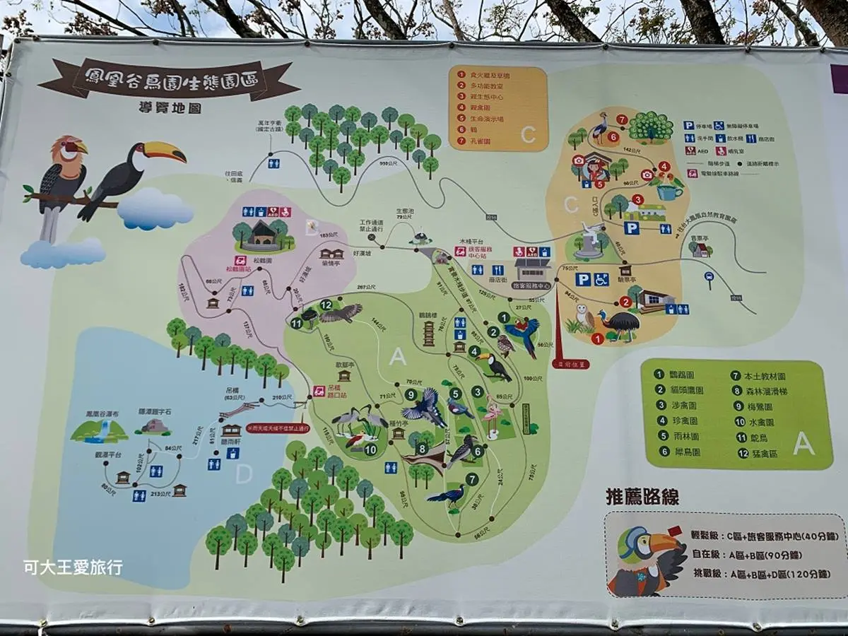 50元玩一整天！南投生態園區賞100多種鳥類、餵鸚鵡體驗，還有孩子最愛森林溜滑梯