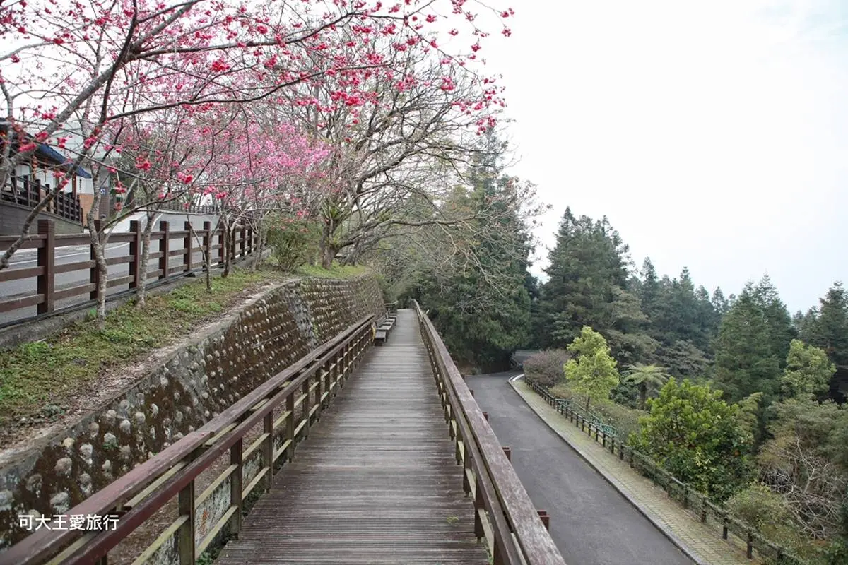 50元玩一整天！南投生態園區賞100多種鳥類、餵鸚鵡體驗，還有孩子最愛森林溜滑梯