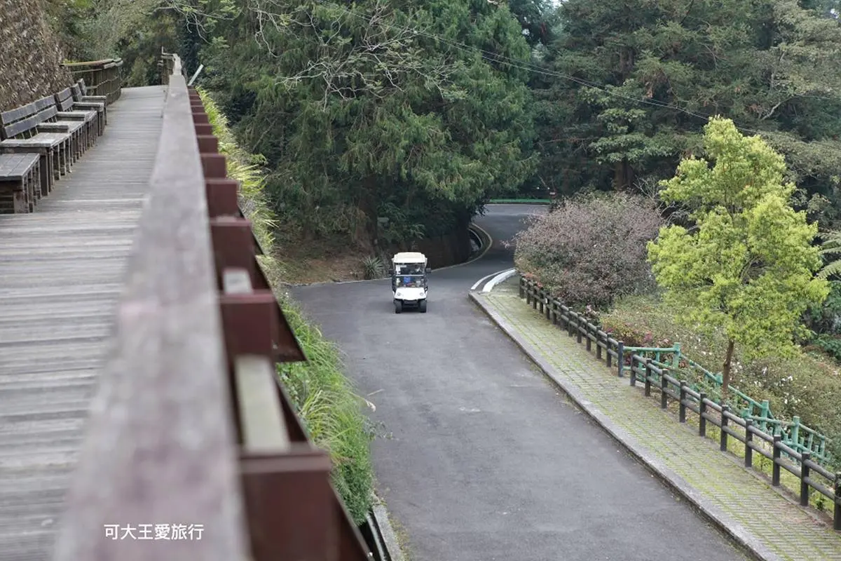 50元玩一整天！南投生態園區賞100多種鳥類、餵鸚鵡體驗，還有孩子最愛森林溜滑梯