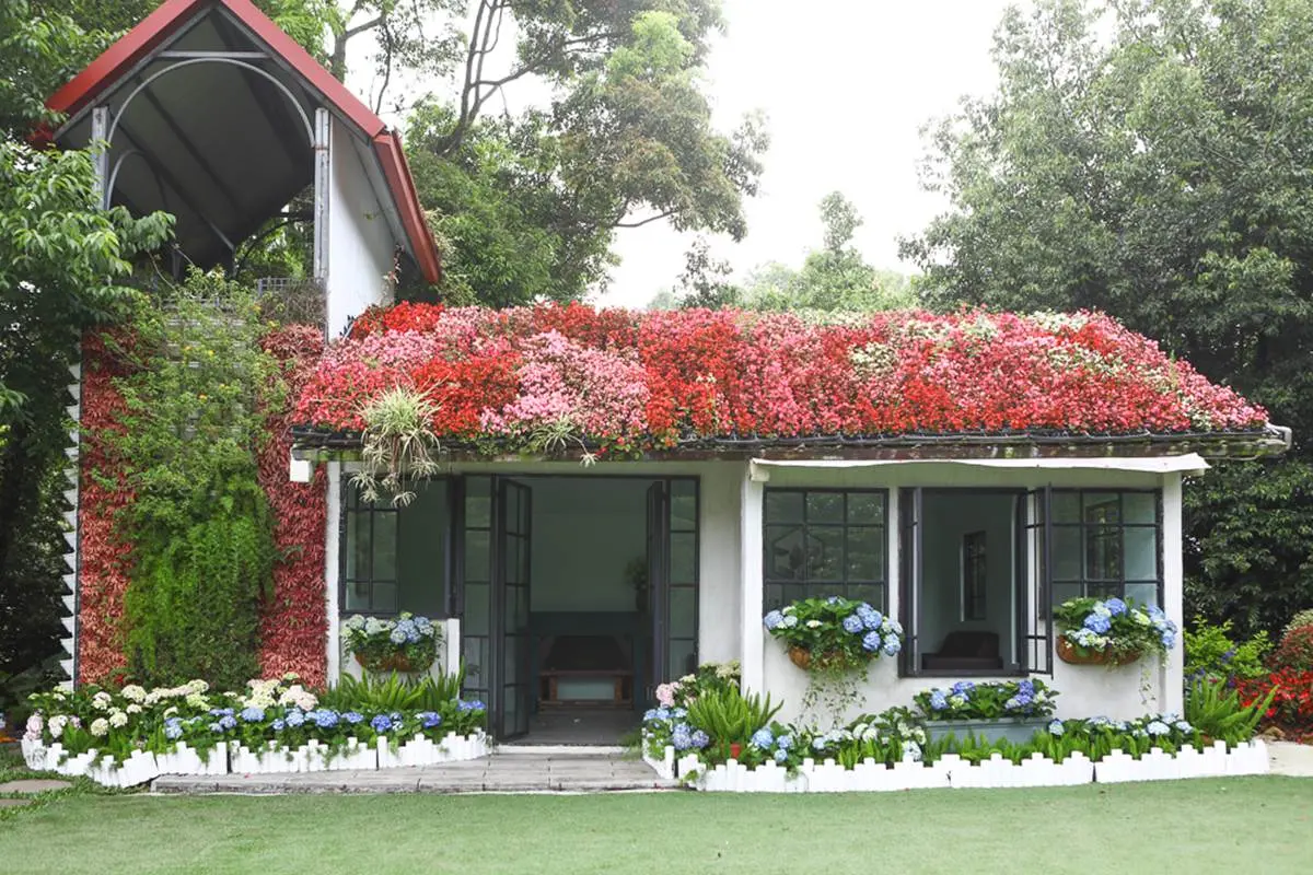 美到犯規!苗栗超繽紛繡球花園「毛小孩」也能來,打卡3D鏡中花、湖畔享玫瑰全餐 美到犯規!苗栗超繽紛繡球花園「毛小孩」也能來,打卡3D鏡中花、湖畔享玫瑰全餐