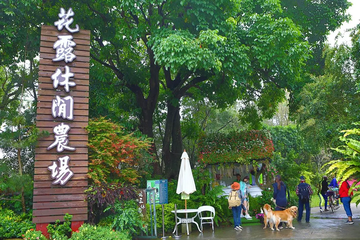美到犯規!苗栗超繽紛繡球花園「毛小孩」也能來,打卡3D鏡中花、湖畔享玫瑰全餐 美到犯規!苗栗超繽紛繡球花園「毛小孩」也能來,打卡3D鏡中花、湖畔享玫瑰全餐