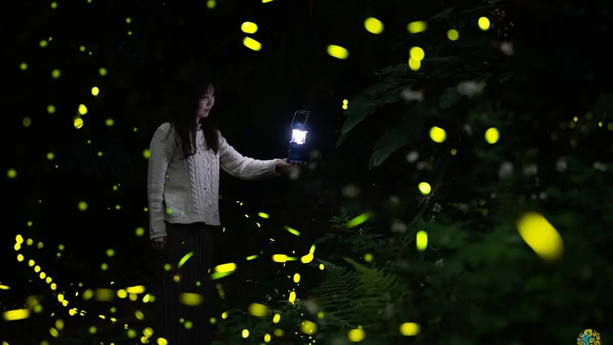 今年不要再錯過!北中南8處美拍賞螢祕境,第8處還能看到滿天銀河 今年不要再錯過!北中南8處美拍賞螢祕境,第8處還能看到滿天銀河