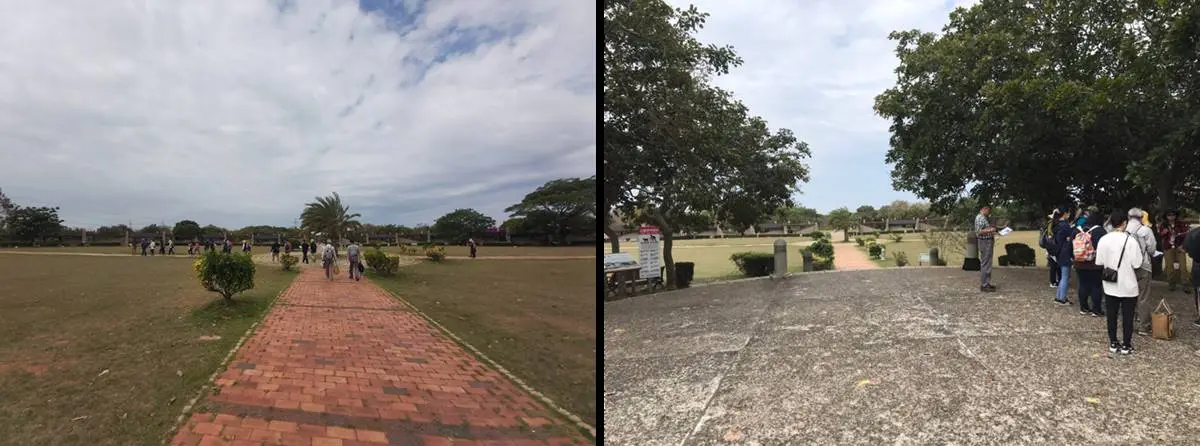 踏青好去處！台中都會公園美景再加碼，28種大肚山原生樹5/15入住