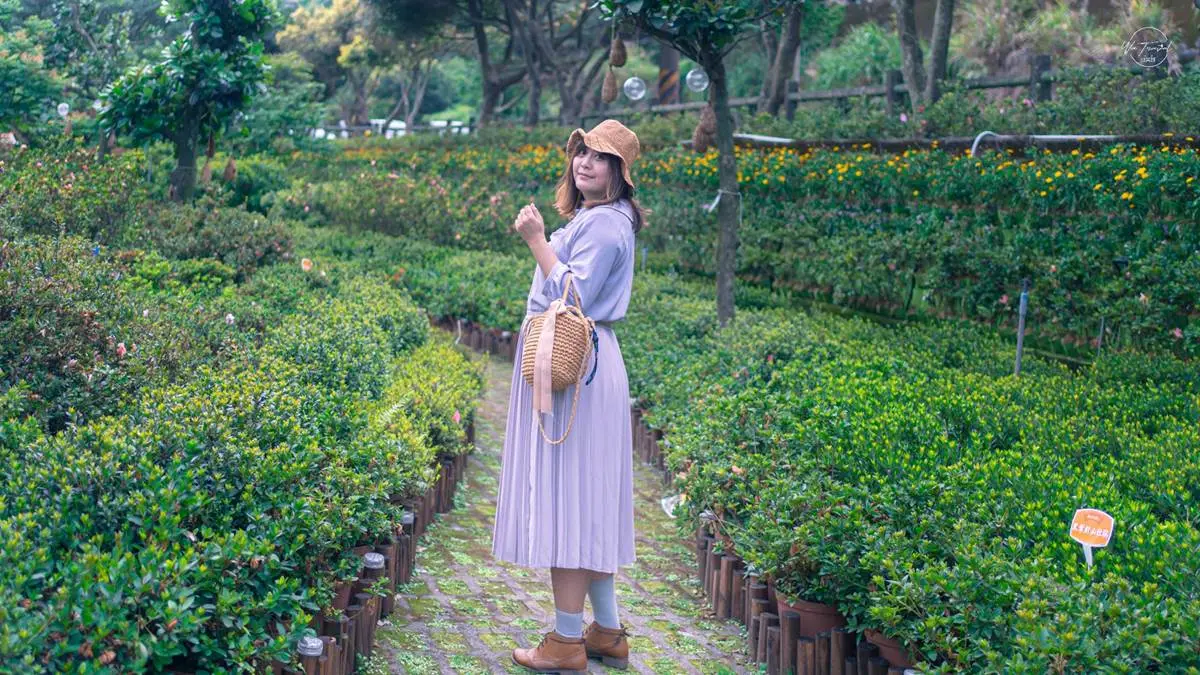 網美衝打卡!萬里親水步道「杜鵑&法國薰衣草」超好拍,還能順遊吃「紫色」霜淇淋 網美衝打卡!萬里親水步道「杜鵑&法國薰衣草」超好拍,還能順遊吃「紫色」霜淇淋