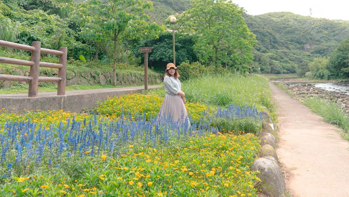 網美衝打卡!萬里親水步道「杜鵑&法國薰衣草」超好拍,還能順遊吃「紫色」霜淇淋 網美衝打卡!萬里親水步道「杜鵑&法國薰衣草」超好拍,還能順遊吃「紫色」霜淇淋
