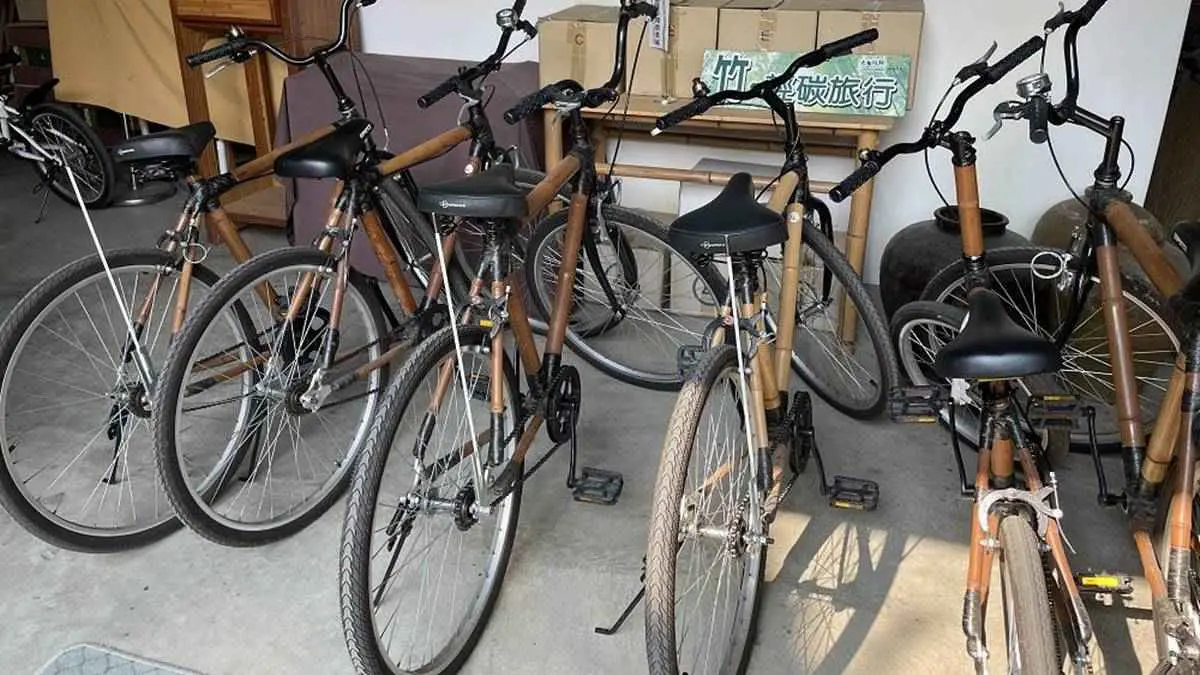 騎竹鐵馬、嗑竹筒飯套餐！來南投民宿住一晚能賞120種竹，連地板都飄竹蓆香