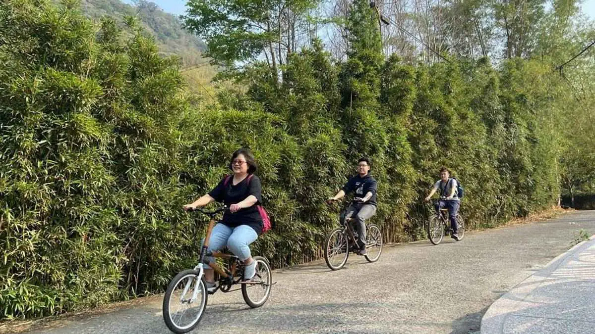 騎竹鐵馬、嗑竹筒飯套餐！來南投民宿住一晚能賞120種竹，連地板都飄竹蓆香