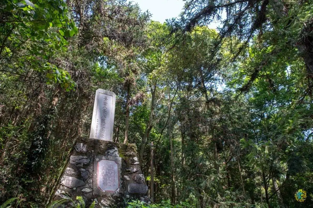 「火金姑」閃閃飛舞太浪漫!台中度假小木屋追螢、觀星一次享受,還能露天泡腳超放鬆 「火金姑」閃閃飛舞太浪漫!台中度假小木屋追螢、觀星一次享受,還能露天泡腳超放鬆