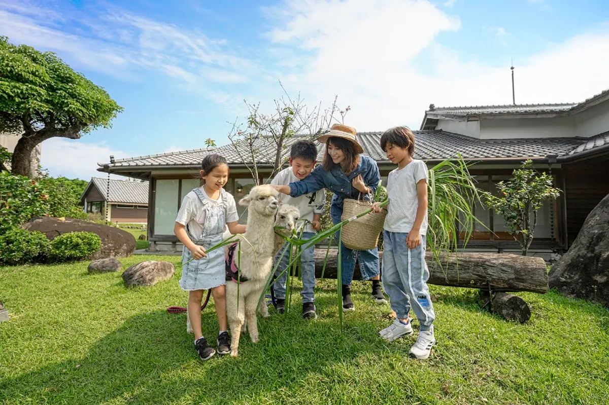 動物控注意!2大旅宿免費互動水豚君、羊駝和狐獴,IG好友滿千人可報名「免費入住」 動物控注意!2大旅宿免費互動水豚君、羊駝和狐獴,IG好友滿千人可報名「免費入住」