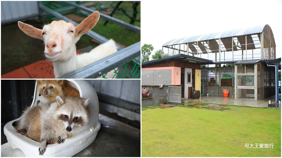 住了不想走！宜花５家超好玩親子旅宿：古早味玩具遊戲室、迷你動物園、室內兒童賽車場