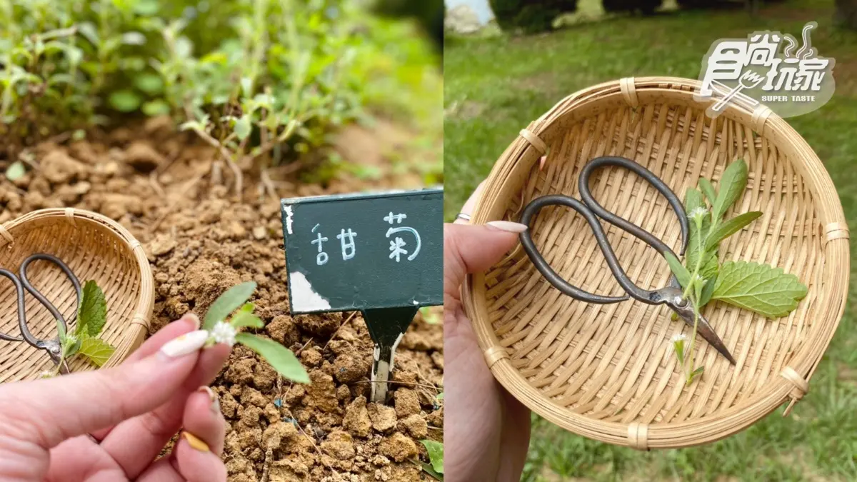 抽免費夢幻露營!日本虎牌x勤美學「全球首場野營」:星空下用餐、獨家蜷尾家銅鑼燒冰 抽免費夢幻露營!日本虎牌x勤美學「全球首場野營」:星空下用餐、獨家蜷尾家銅鑼燒冰
