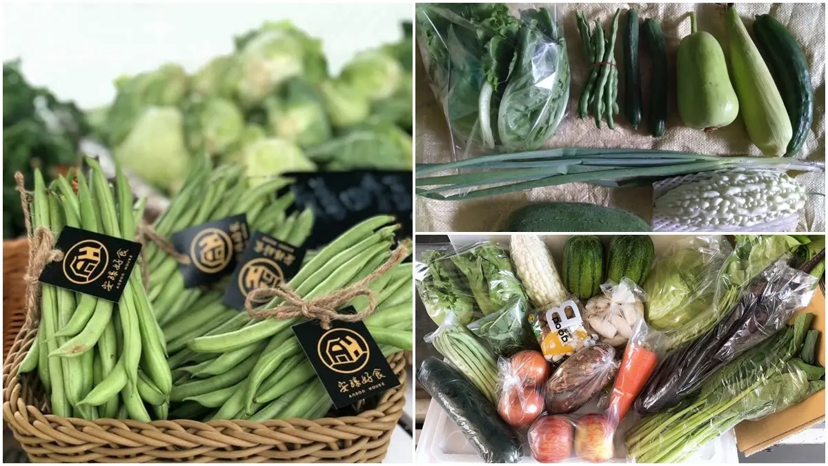 宜蘭人快收！５家在地「小農蔬菜箱」新鮮直送，有機蔬果、防疫乾貨一次備齊