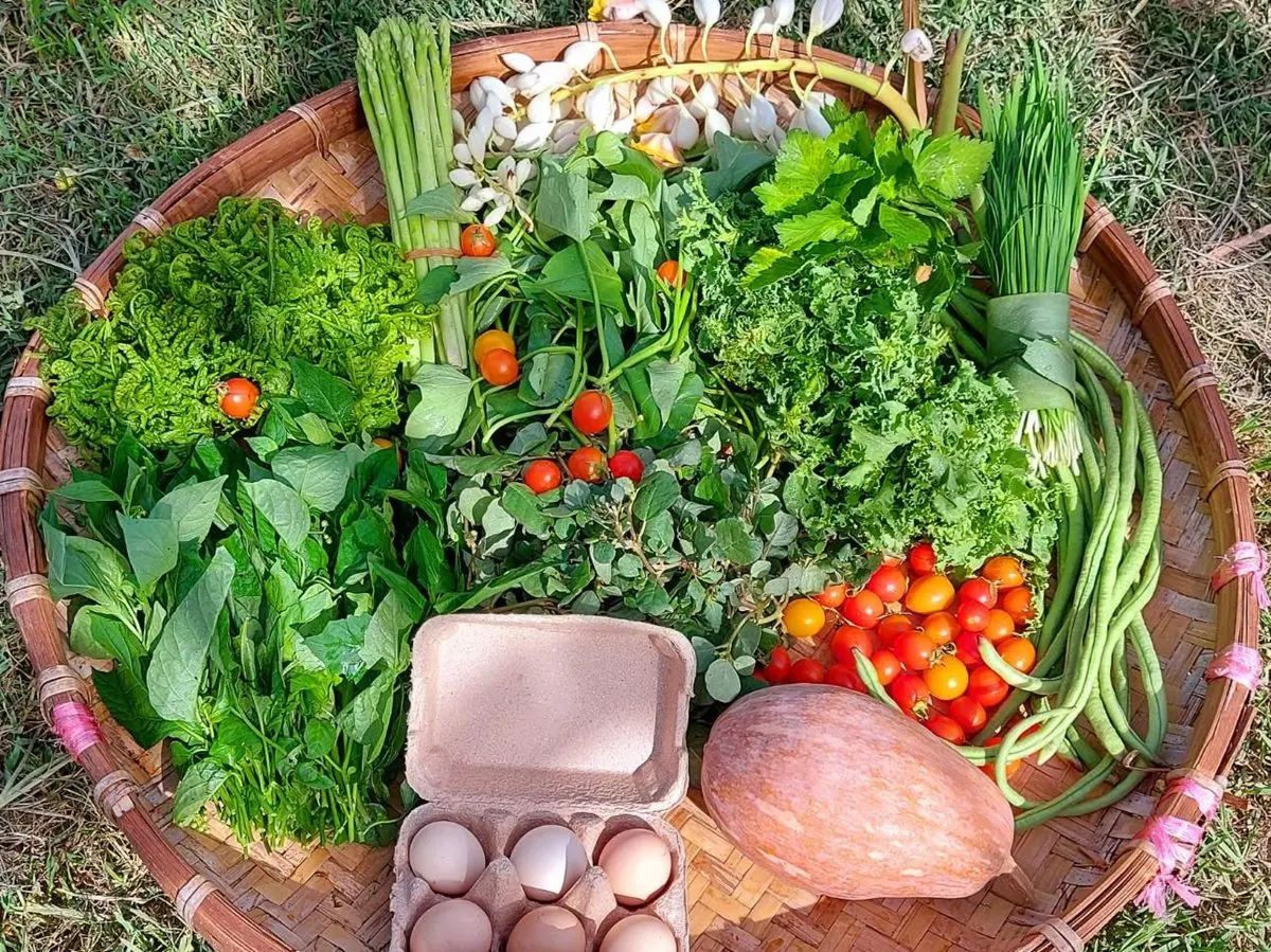 蔬菜箱、肉箱一次買齊!線上市集開賣3款小農蔬菜箱,這2種蔬菜不要放冰箱存更久 蔬菜箱、肉箱一次買齊!線上市集開賣3款小農蔬菜箱,這2種蔬菜不要放冰箱存更久