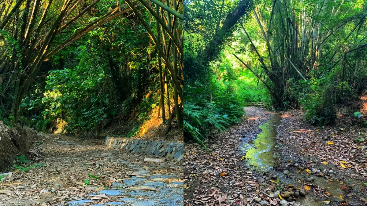 親子出遊先存好！彰化「石牌坑生態步道」豐富生態超吸睛，還可順遊八卦山、四面佛寺