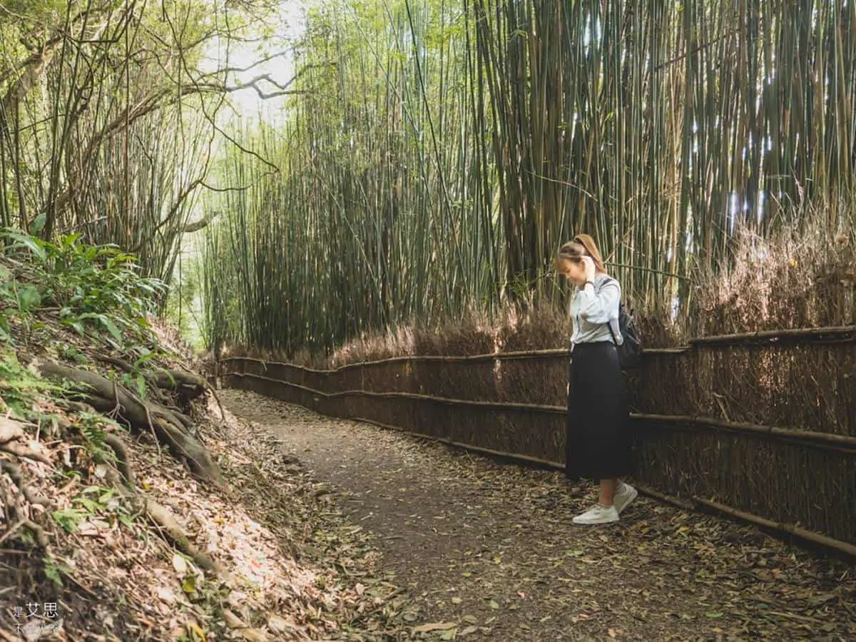 秒飛京都!美拍「竹蔭隧道」彷彿置身嵐山,「800公尺古道」散步走完只要40分 秒飛京都!美拍「竹蔭隧道」彷彿置身嵐山,「800公尺古道」散步走完只要40分