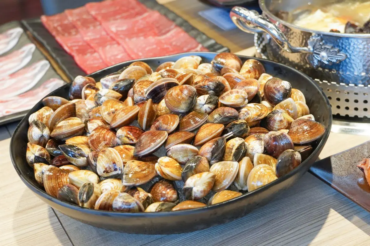 【新開店】399元吃到飽!馬辣新品牌「涮樂和牛」祭100種食材,還有和牛壽司無限吃 【新開店】399元吃到飽!馬辣新品牌「涮樂和牛」祭100種食材,還有和牛壽司無限吃