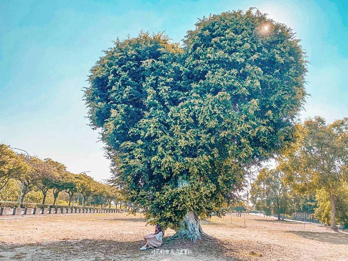 七夕耍浪漫0元!15處放閃免費打卡點:LOVE傳聲筒觀景台、純白旋轉橋、陸地版藍眼淚 七夕耍浪漫0元!15處放閃免費打卡點:LOVE傳聲筒觀景台、純白旋轉橋、陸地版藍眼淚
