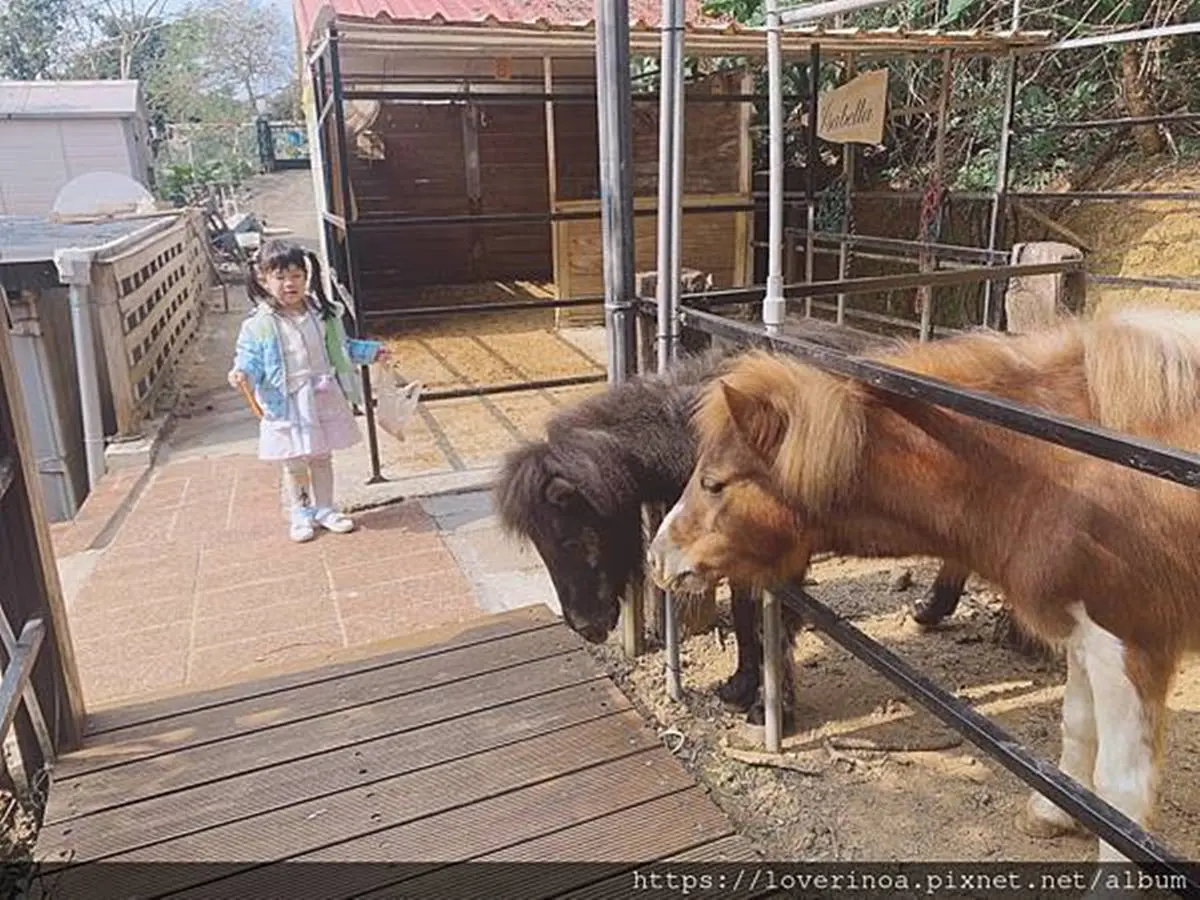 帶小孩放電!親子「農場餐廳」能體驗餵小馬、玩沙,甜點控必吃「粉紅名媛」蜜糖吐司 帶小孩放電!親子「農場餐廳」能體驗餵小馬、玩沙,甜點控必吃「粉紅名媛」蜜糖吐司