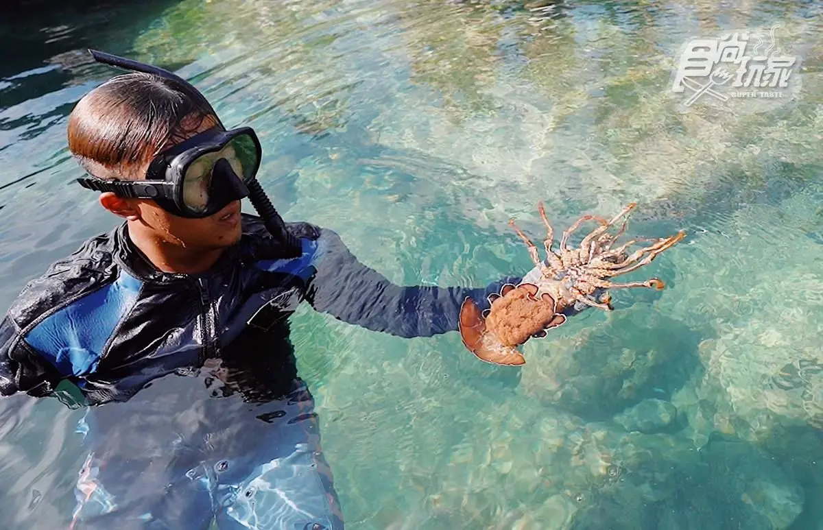 親子出遊新玩法！搭遊艇登「龍蝦島」賞天然水族箱，還能吃超鮮甜現煮「龍蝦泡麵」